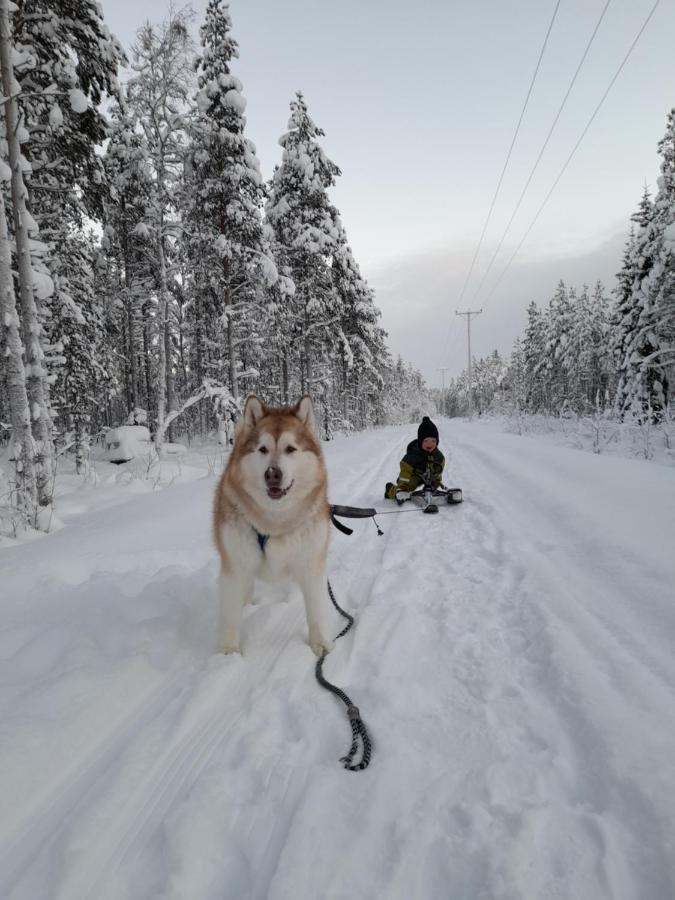 Villa Waeltti Rovaniemi Buitenkant foto